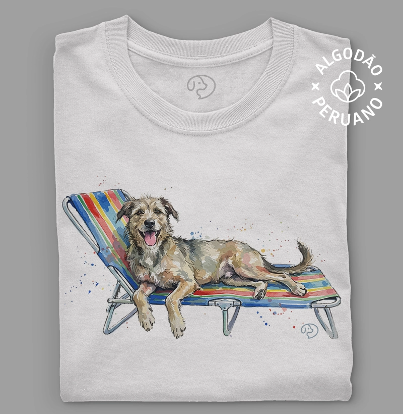 Cachorro na Cadeira de Praia