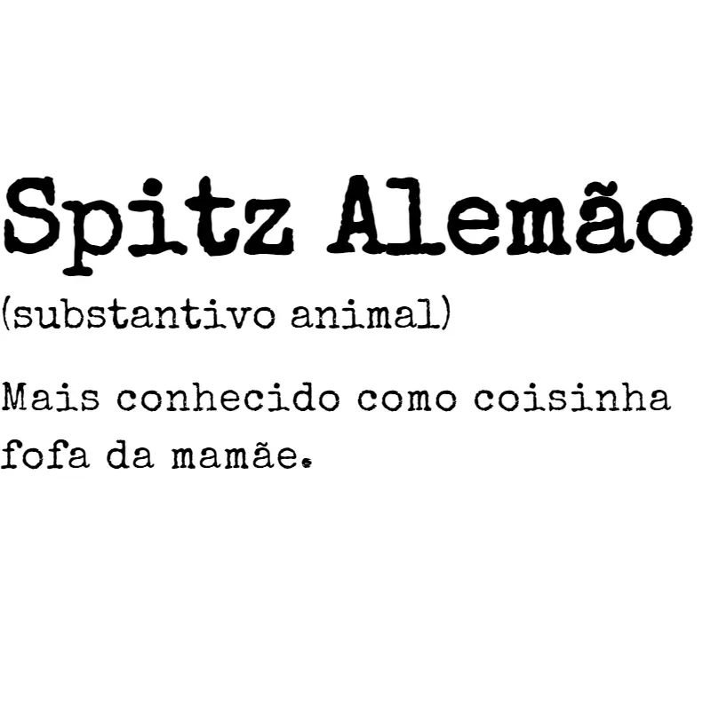 Spitz Alemão s.a. 03