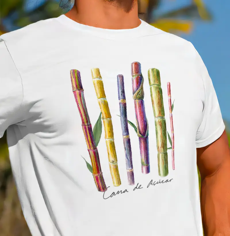 Cana de Açúcar