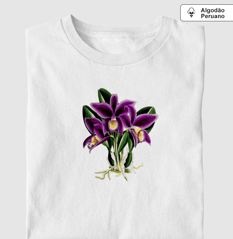 Laelia Jongheana