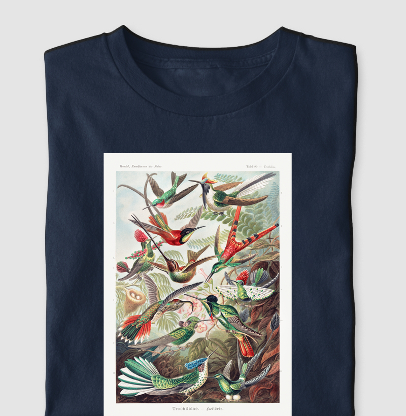 Trochilidae–Kolibris