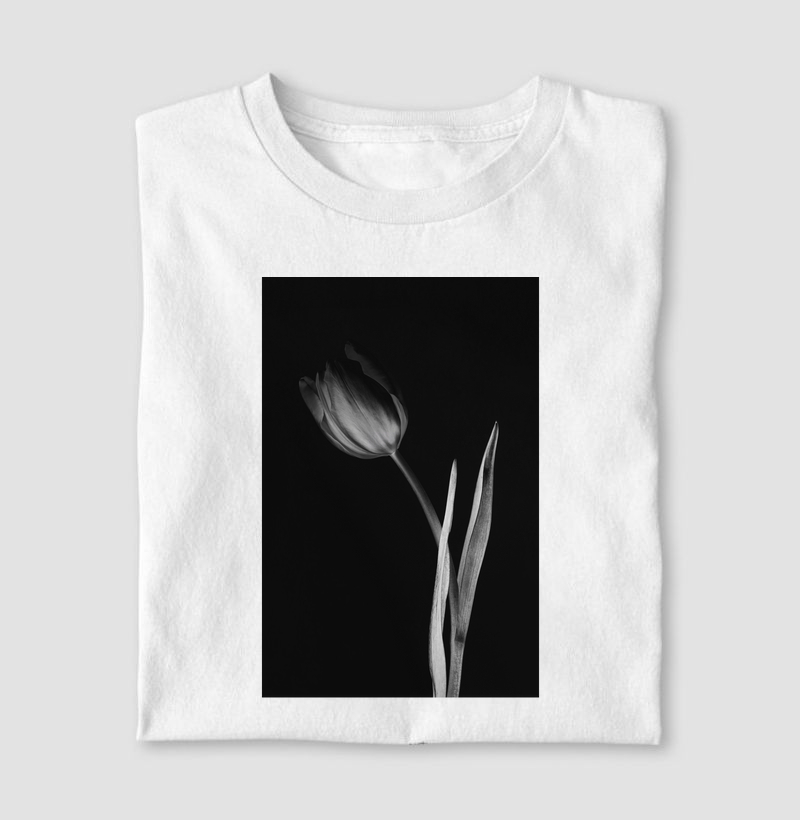 Tulip flower