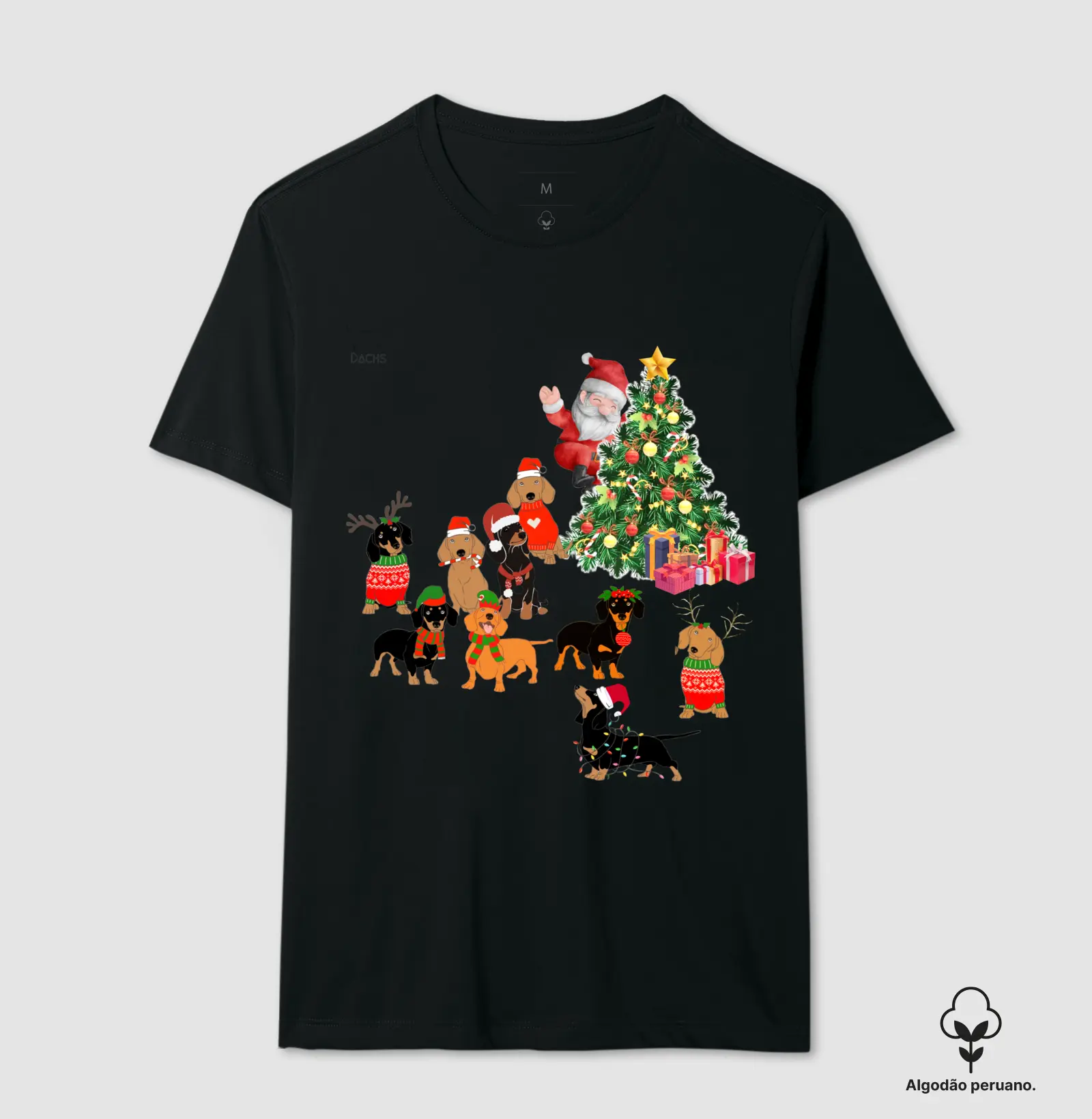 Natal com Dachs