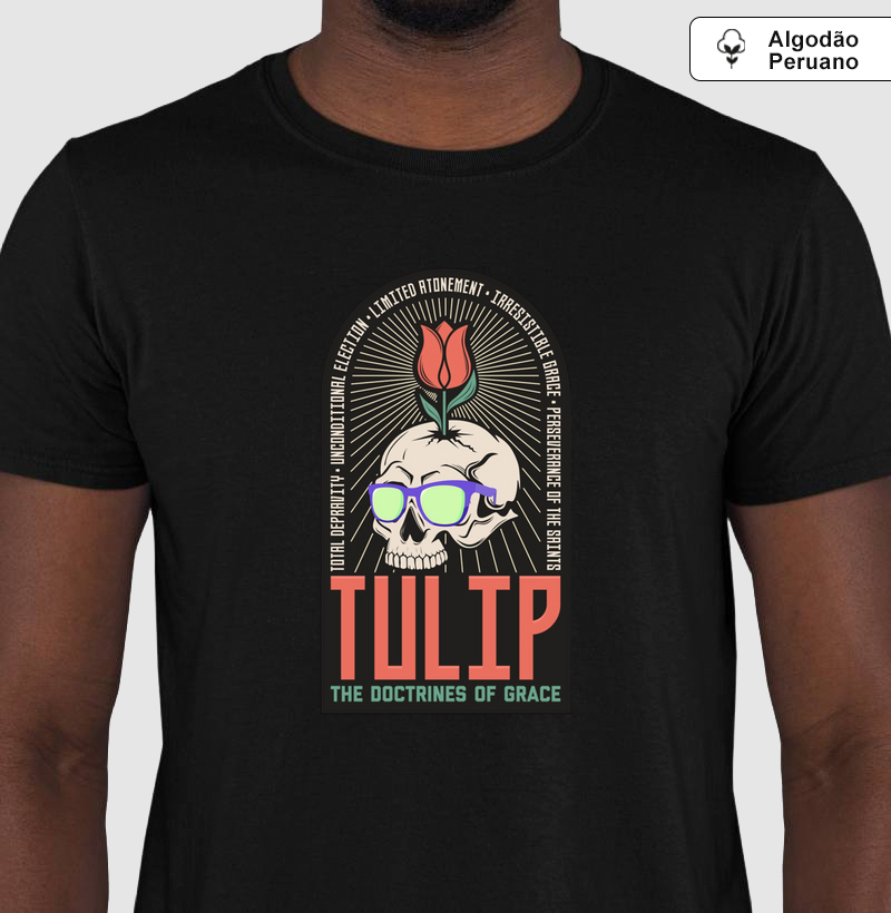 Camiseta Pima Tulip
