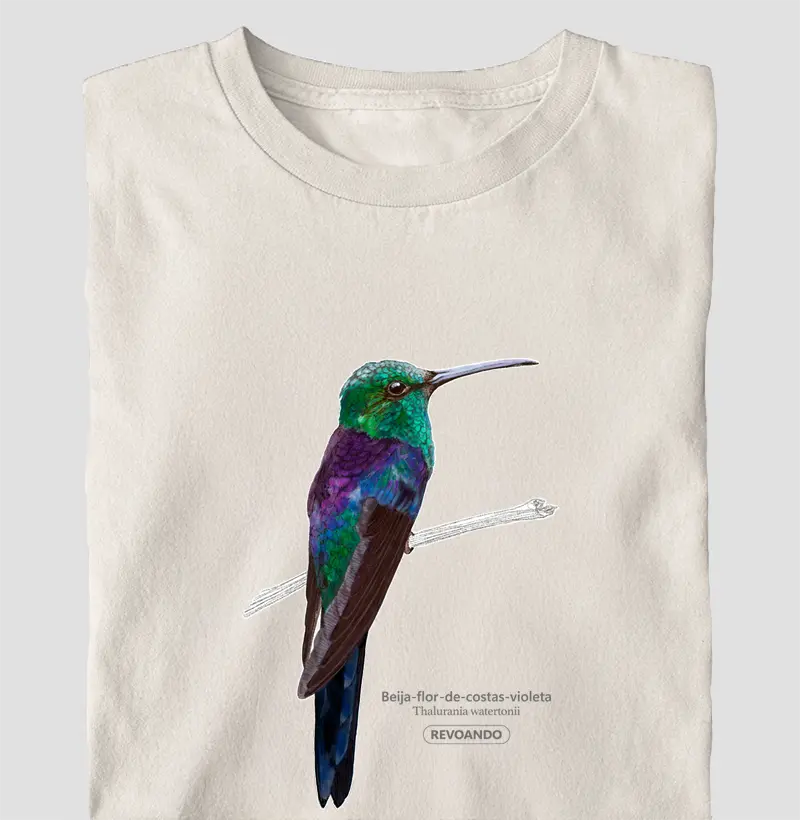 Aves do Brasil - Beija-flor-de-costas-violeta - Oversized