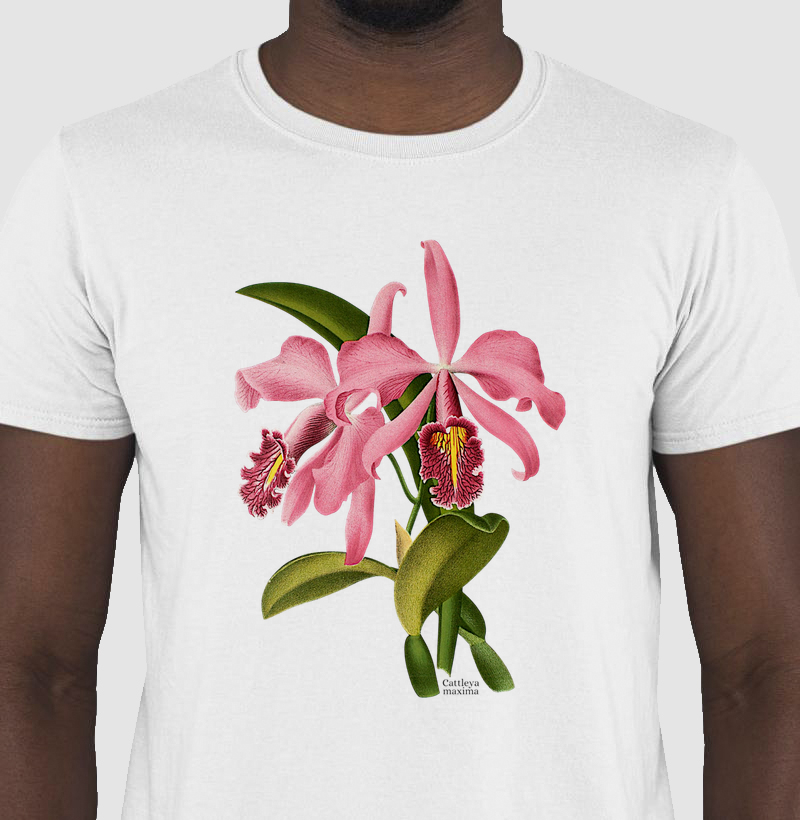 Camiseta Unissex Cattleya maxima
