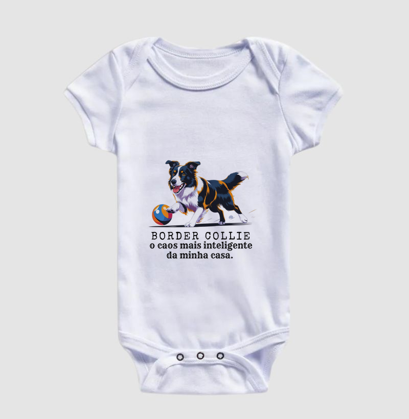 Border Collie, o caos mais inteligente da minha casa!