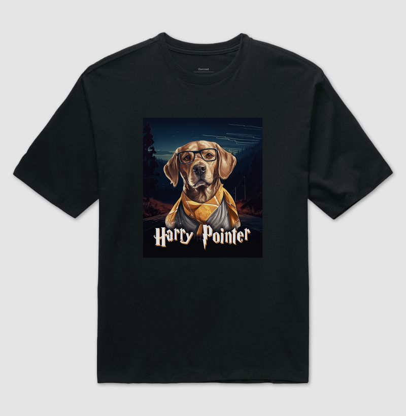 Harry Pointer