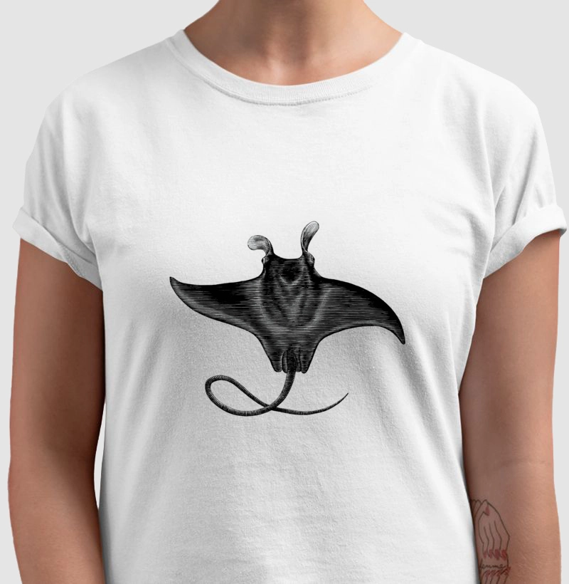 Mobula