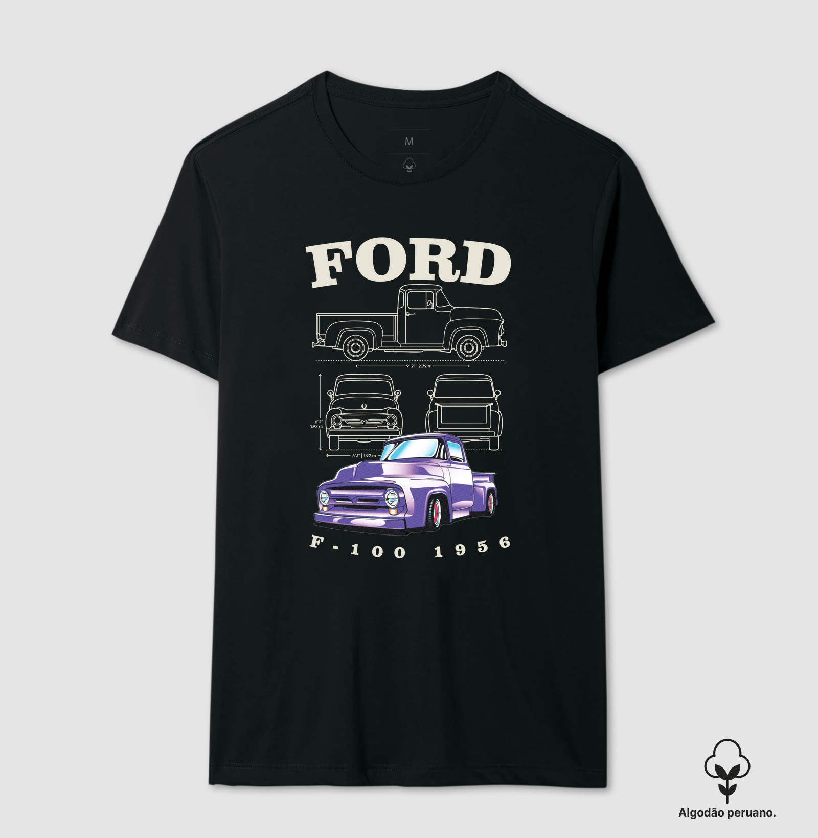 F-100 1956