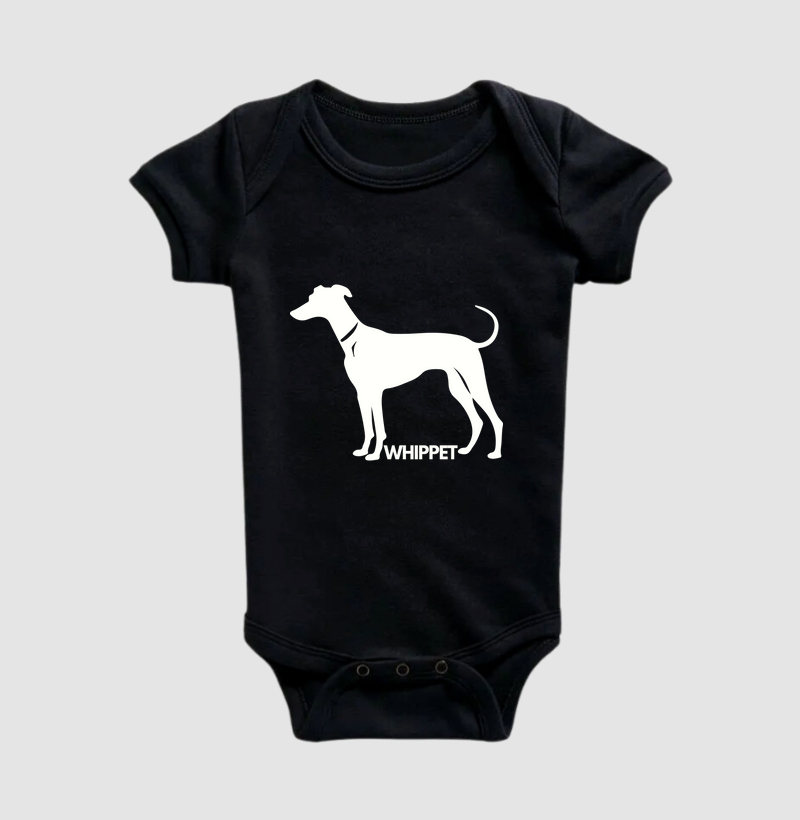 Whippet