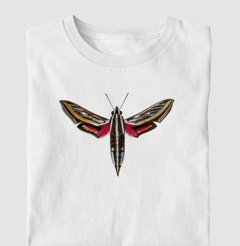 Mariposa