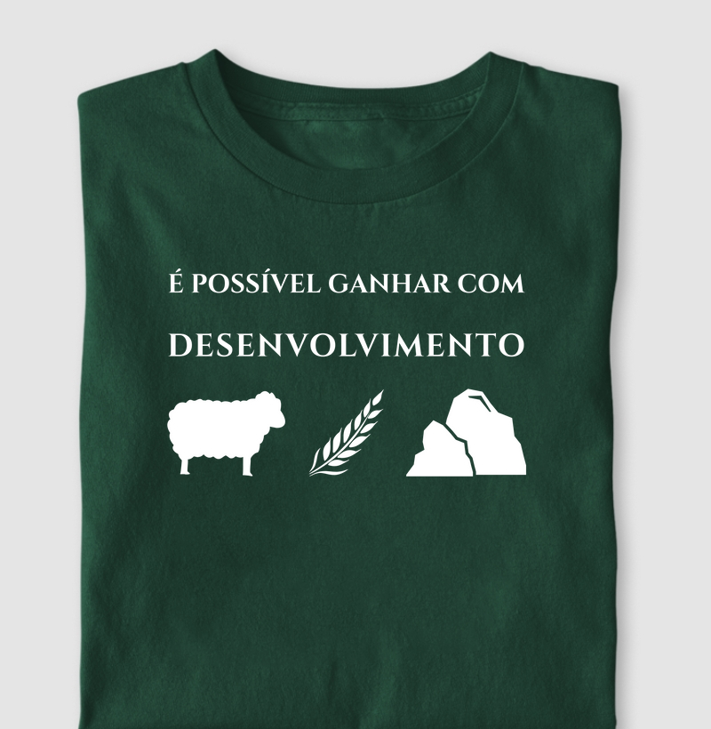 Catan - Ganhar com Desenvolvimento