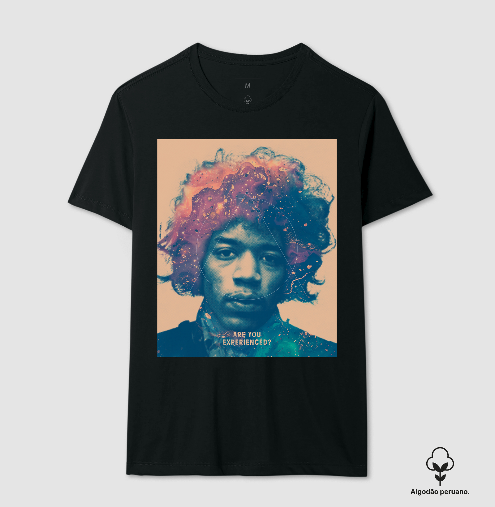 Are You Experienced