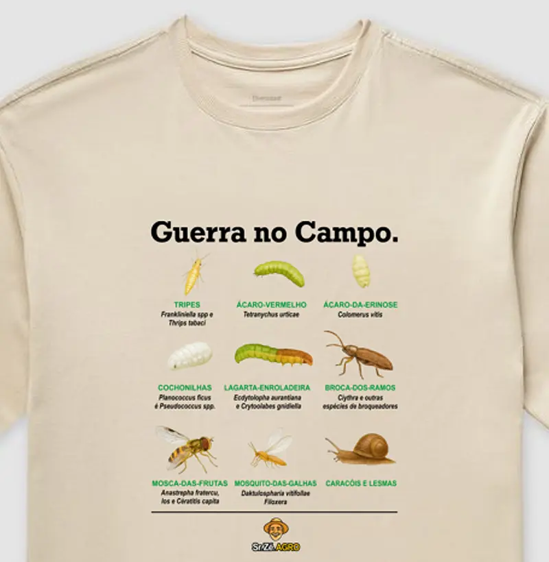 Guerra no Campo.