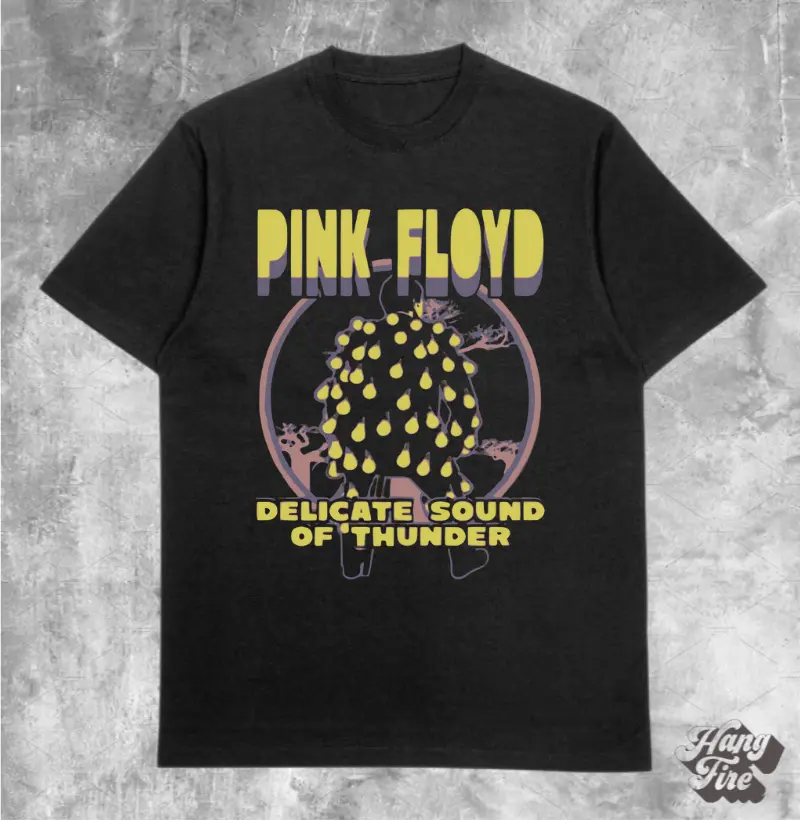 PINK FLOYD DSOT