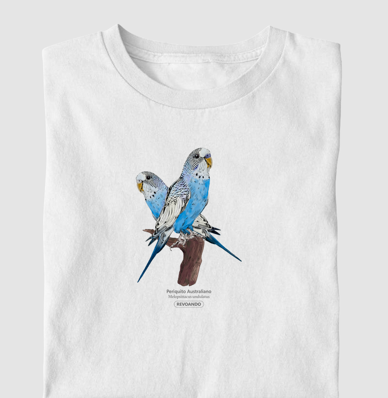 Love Friends - Periquito Australiano Azul