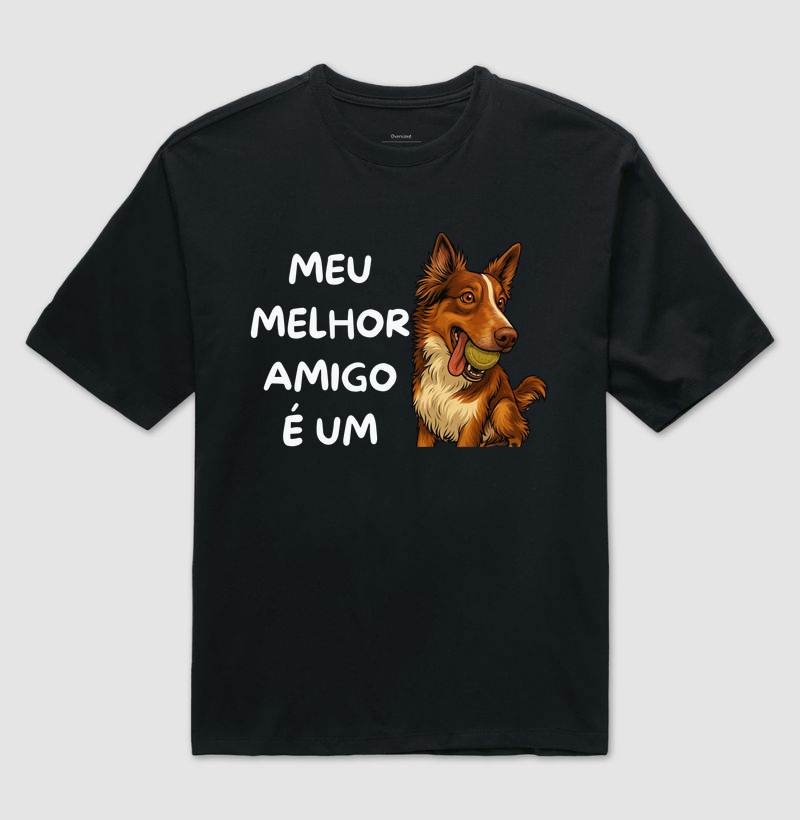 Meu melhor amigo é um border collie