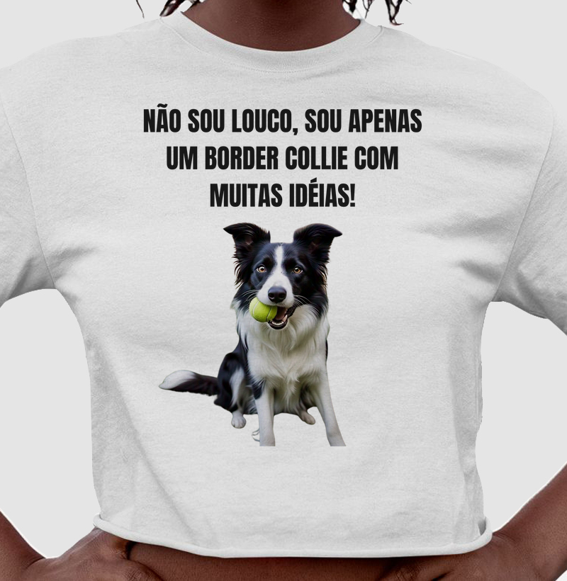 Não sou louco, sou um border collie com muitas idéias