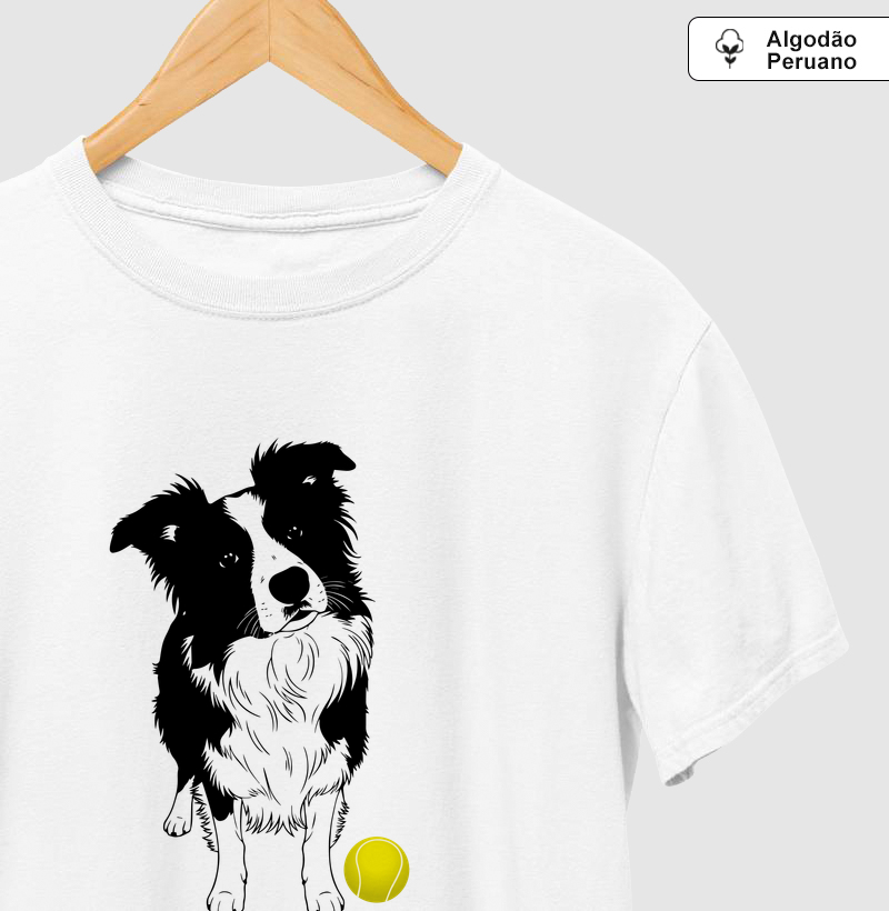 Border Collie e bola de tênis