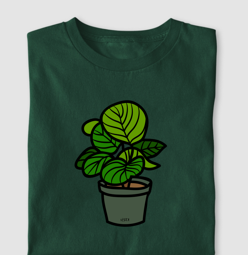 Vaso de Calathea Orbifolia