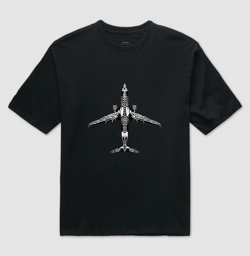 Esqueleto de avião 