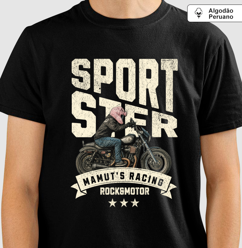 Sportster - Rafael Mamut