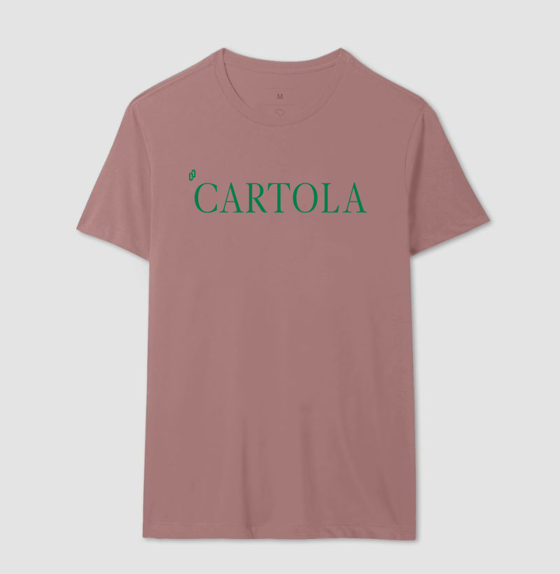413 - CARTOLA ROSA E VERDE