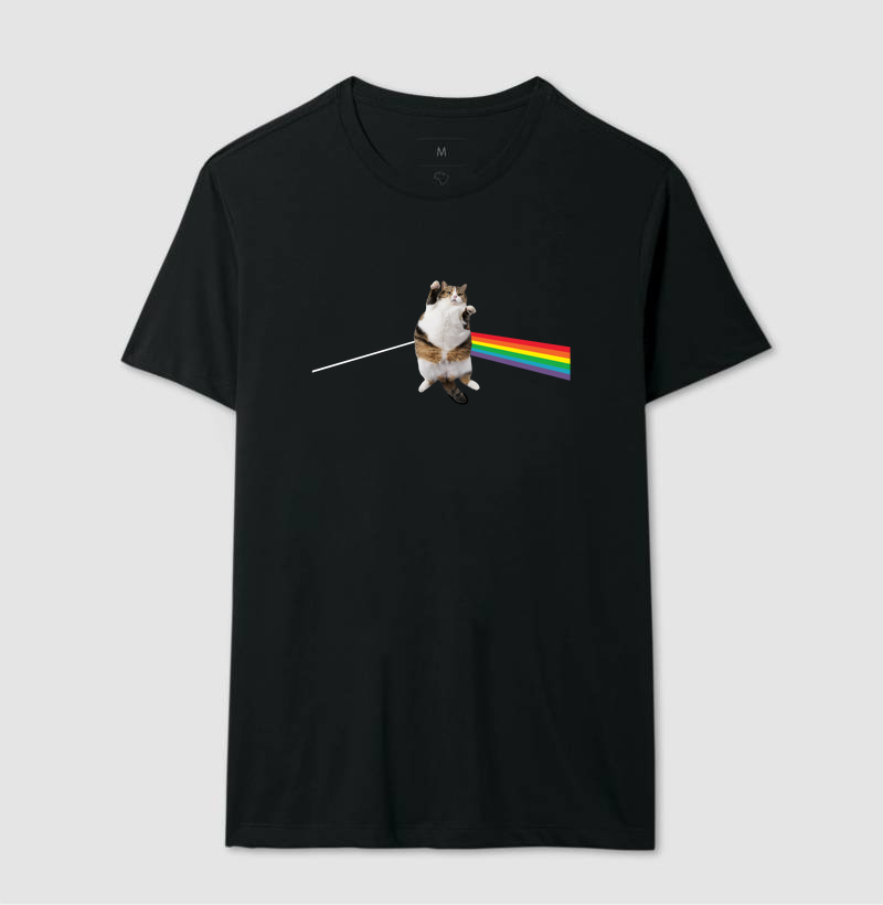 Fat Rainbow Cat