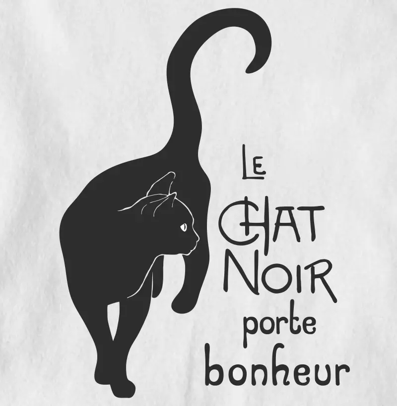 Camiseta estampada Chat Noir 