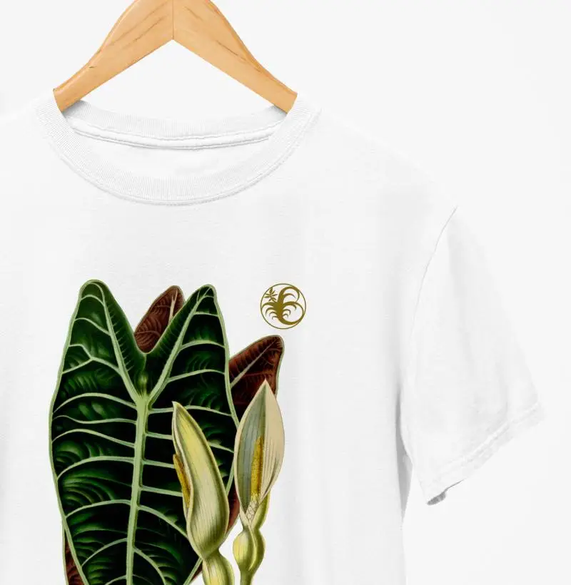 ALOCASIA LOWI