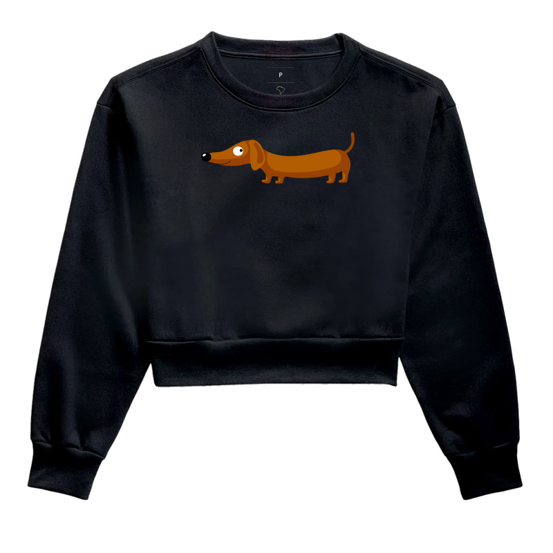 Dachshund