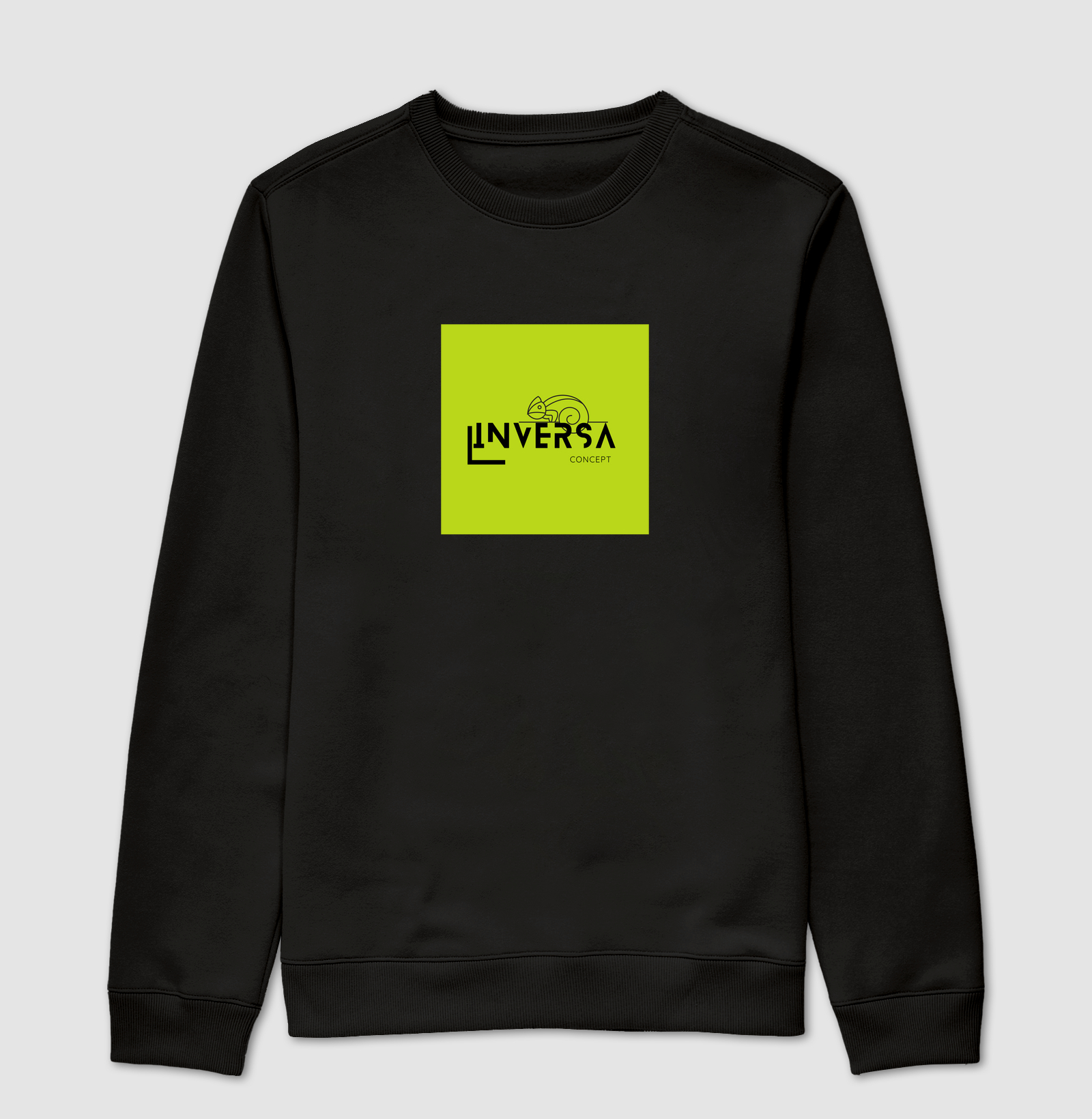 INVERSA CONCEPT