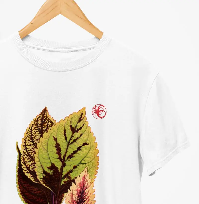 COLEUS