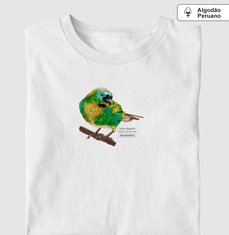 Aves do Brasil - Saíra-lagarta - Algodão Peruano