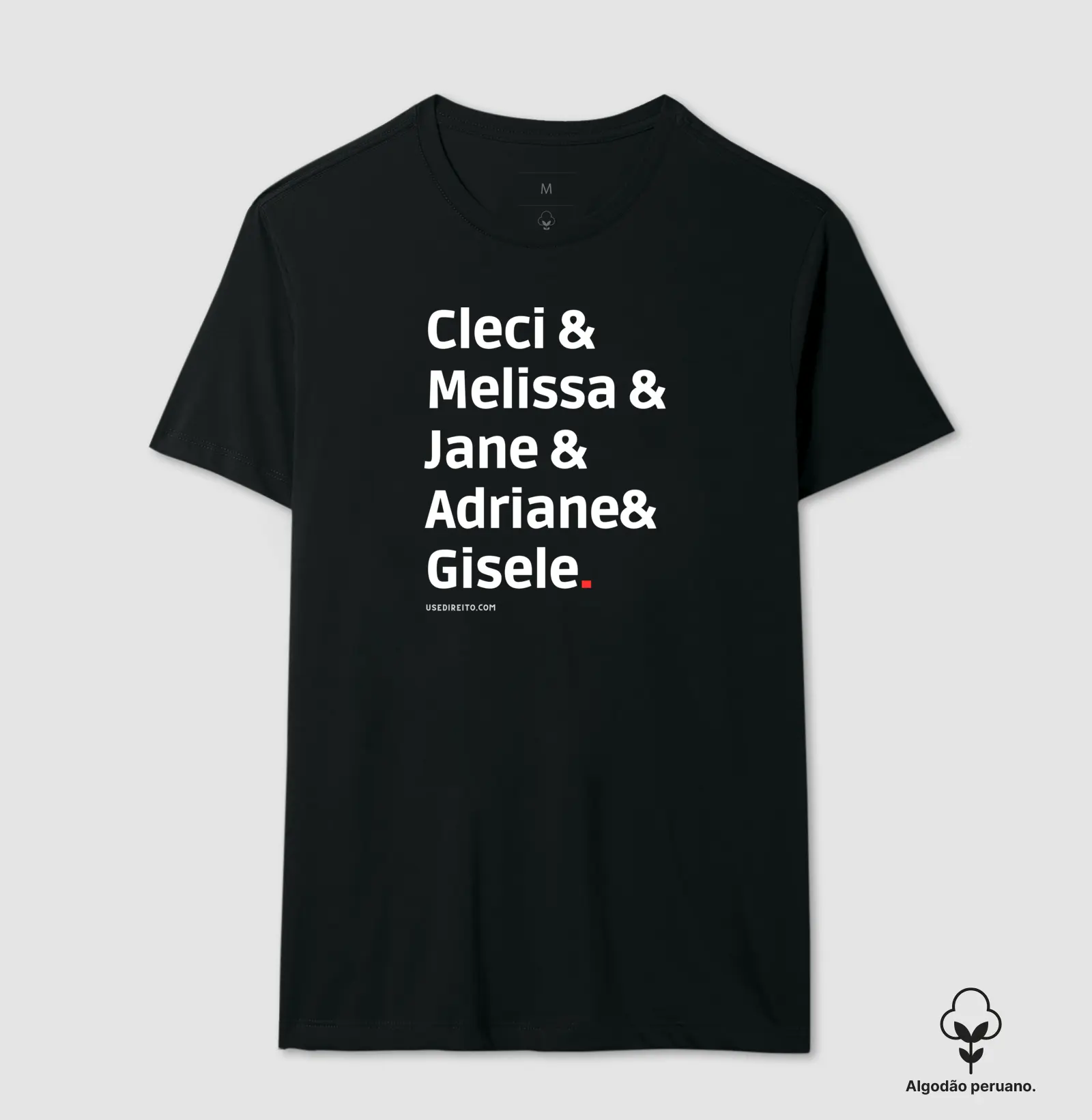 Cleci & Melissa & Jane & Adriane& Gisele.