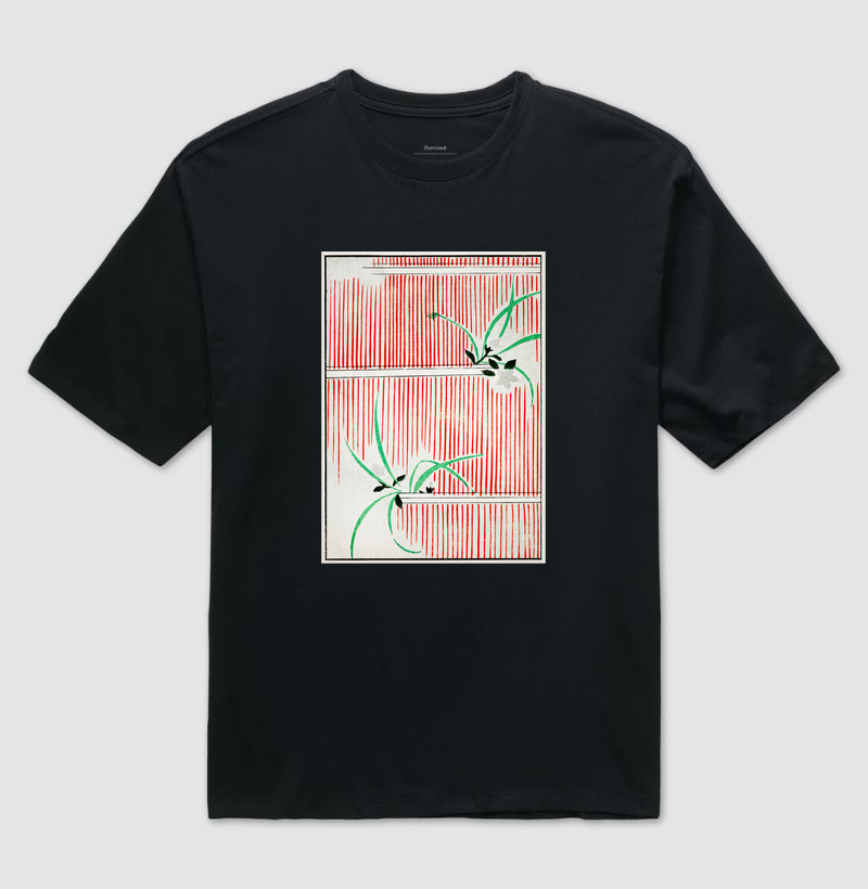 Morning glory illustration