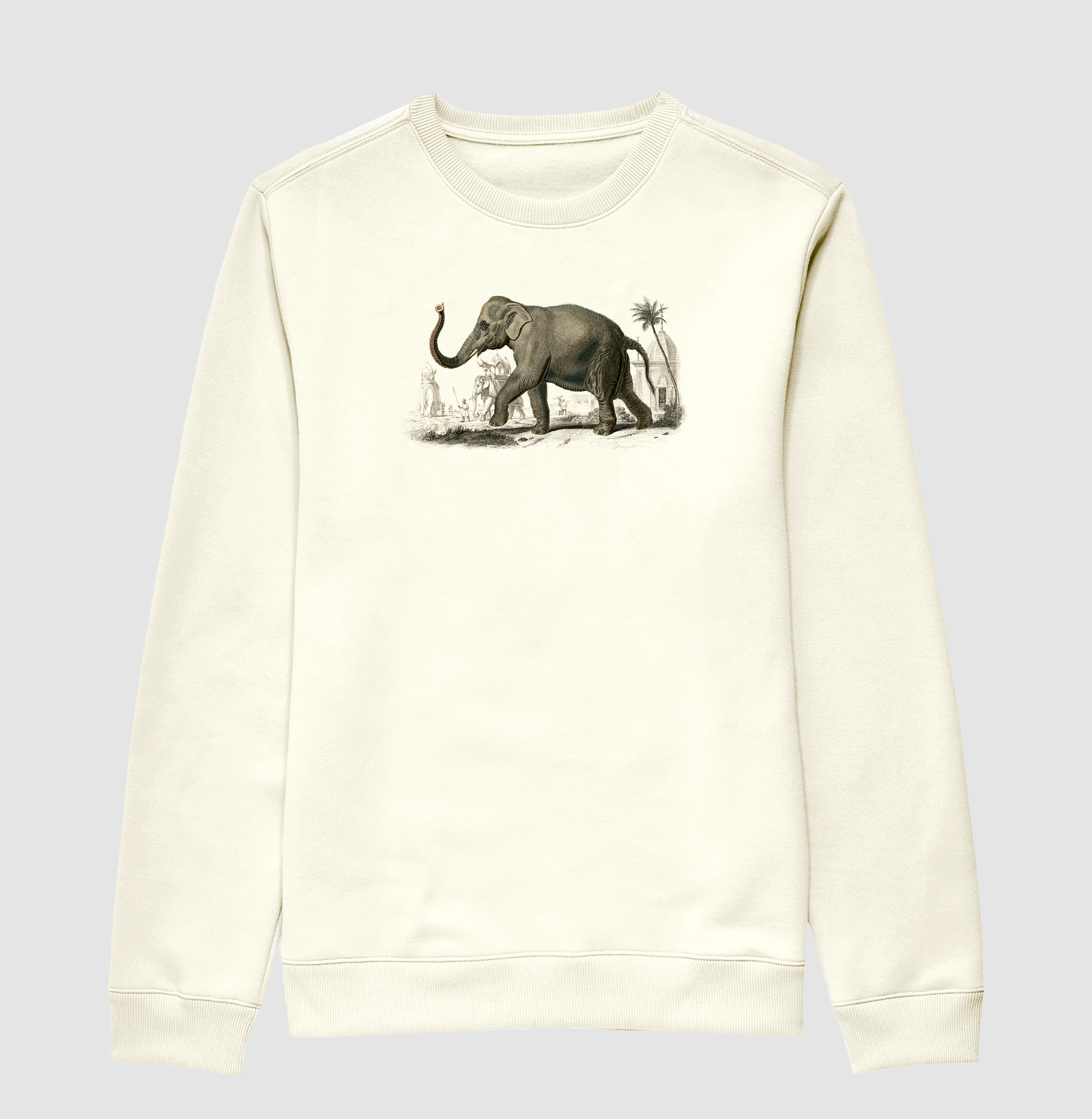 Asian elephant