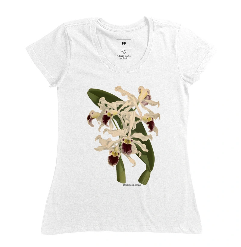 Camiseta Feminina Brasilaelia crispa t-shirt