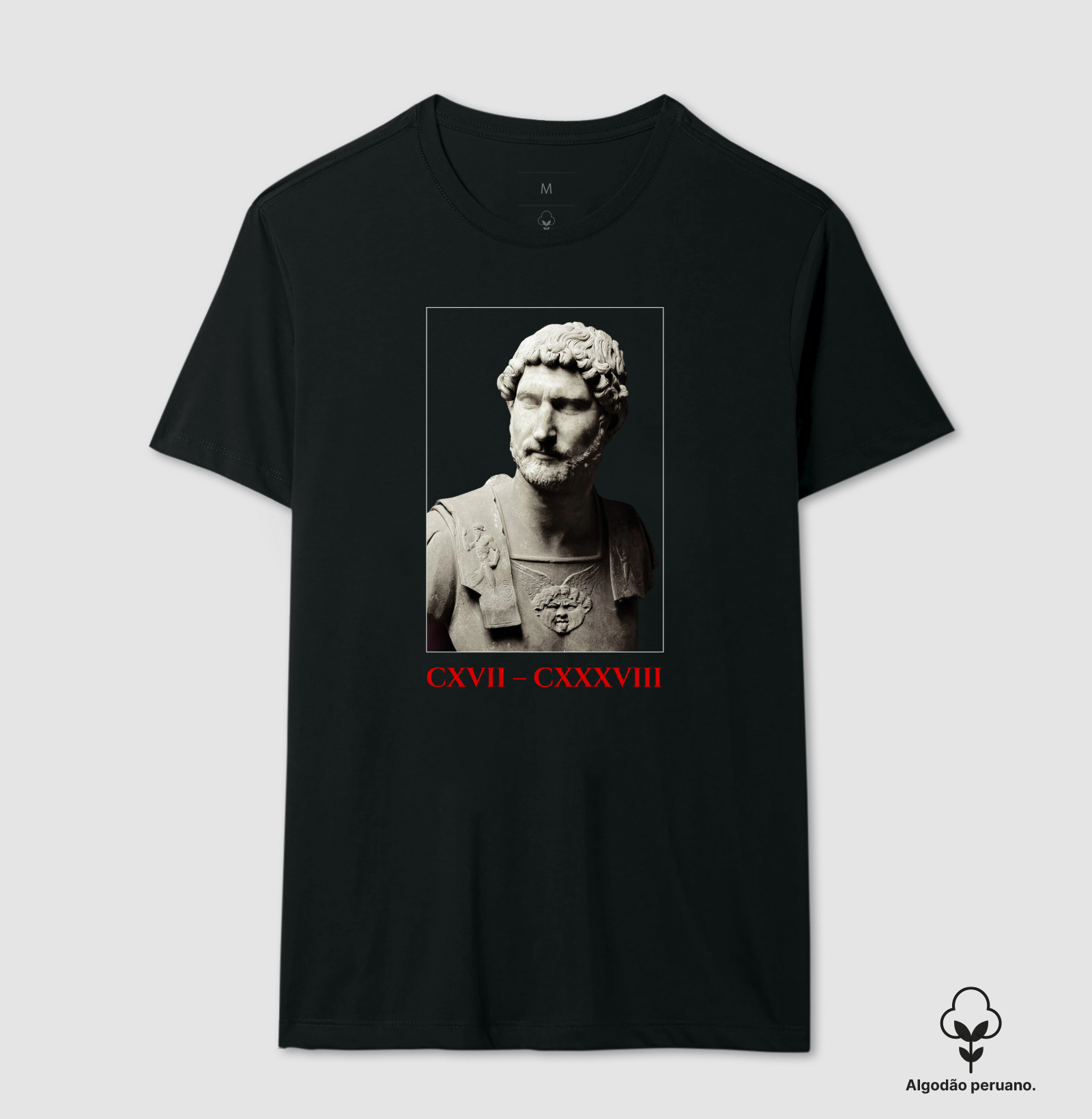 HADRIANUS – Regnum