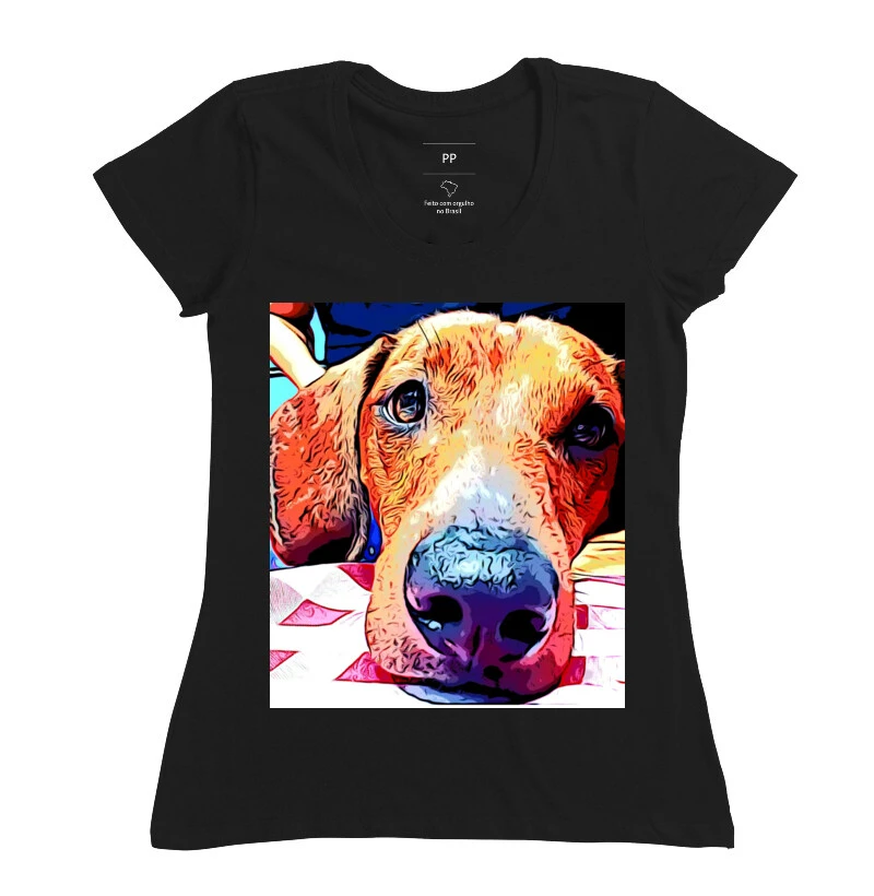 Dachshund 
