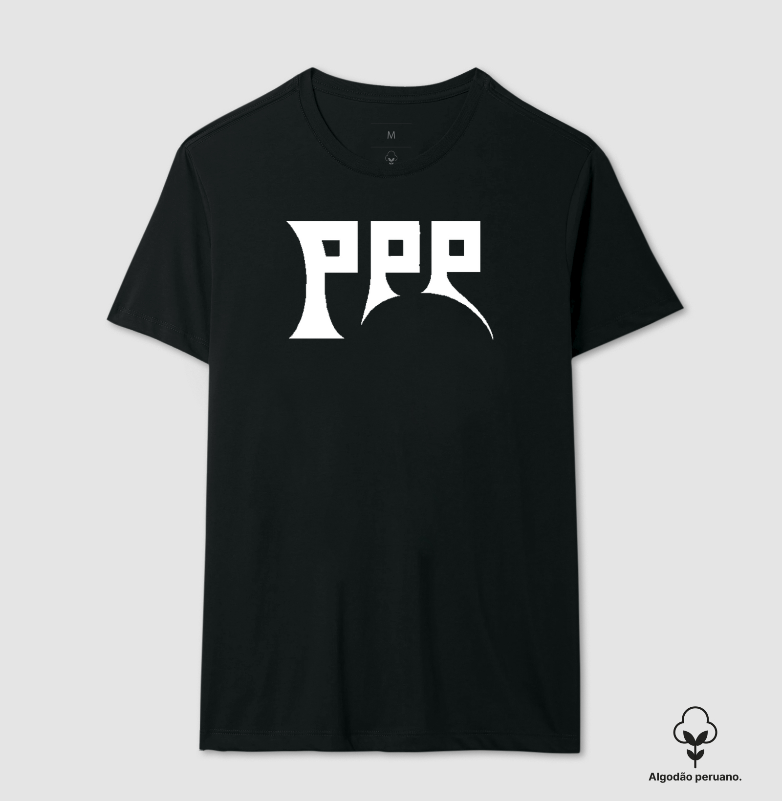 PPP 2024