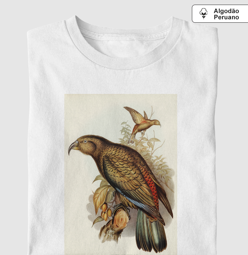 Kea Parrot