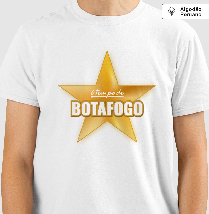 É TEMPO DE OURO DE BOTAFOGO iii Pe Br