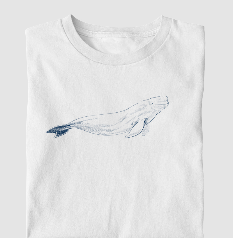 Beluga