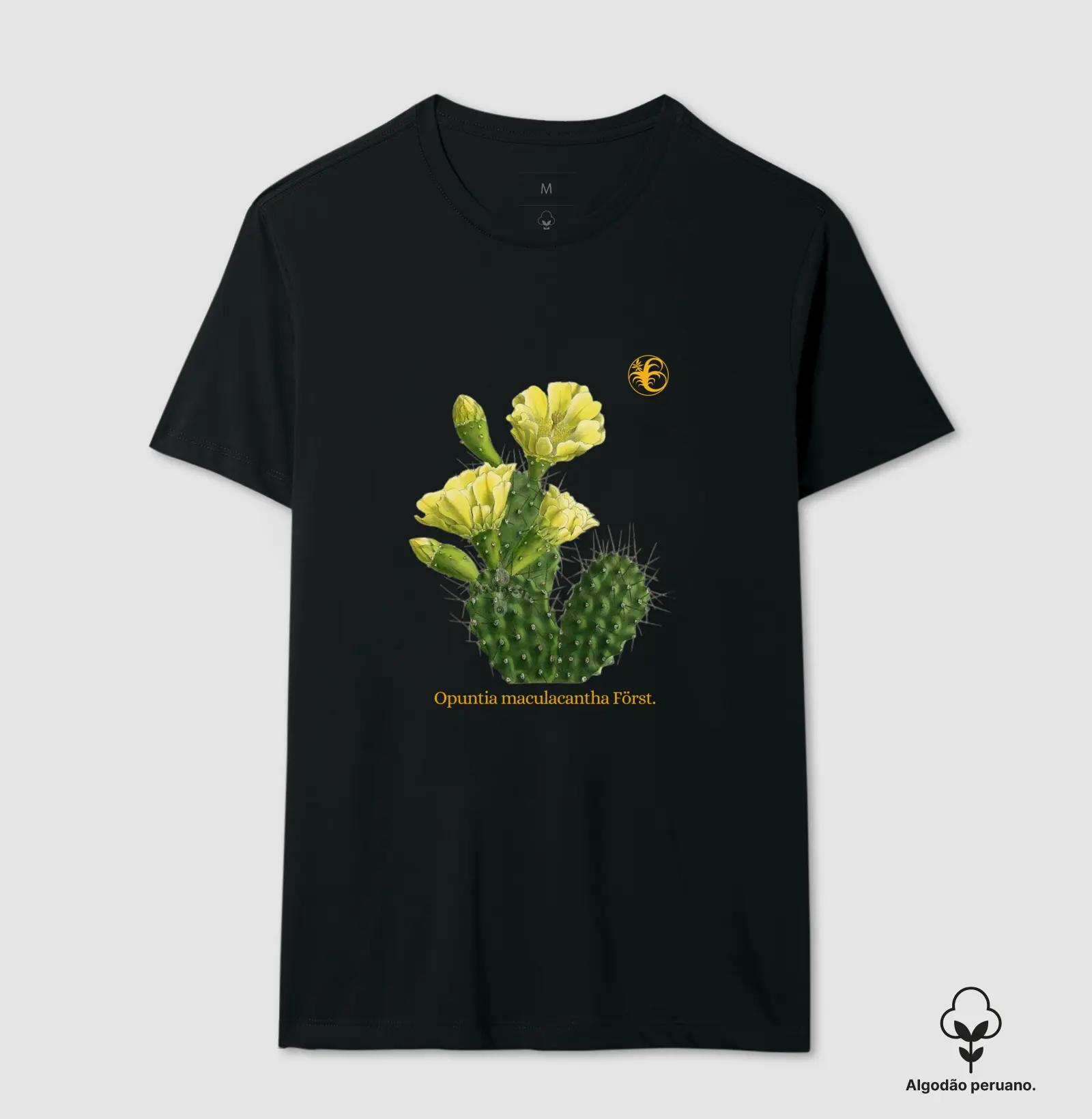 CACTUS VI