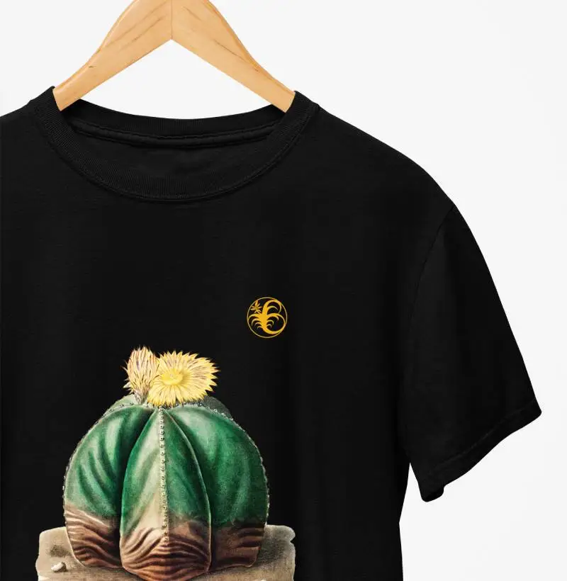 CACTUS IV