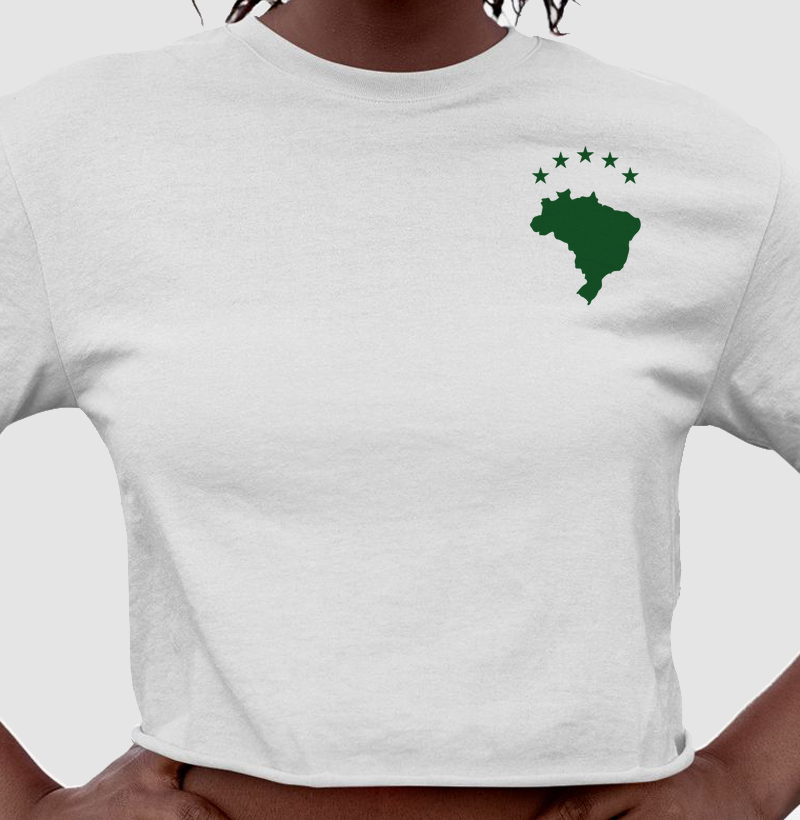 Cropped Mapa do Brasil