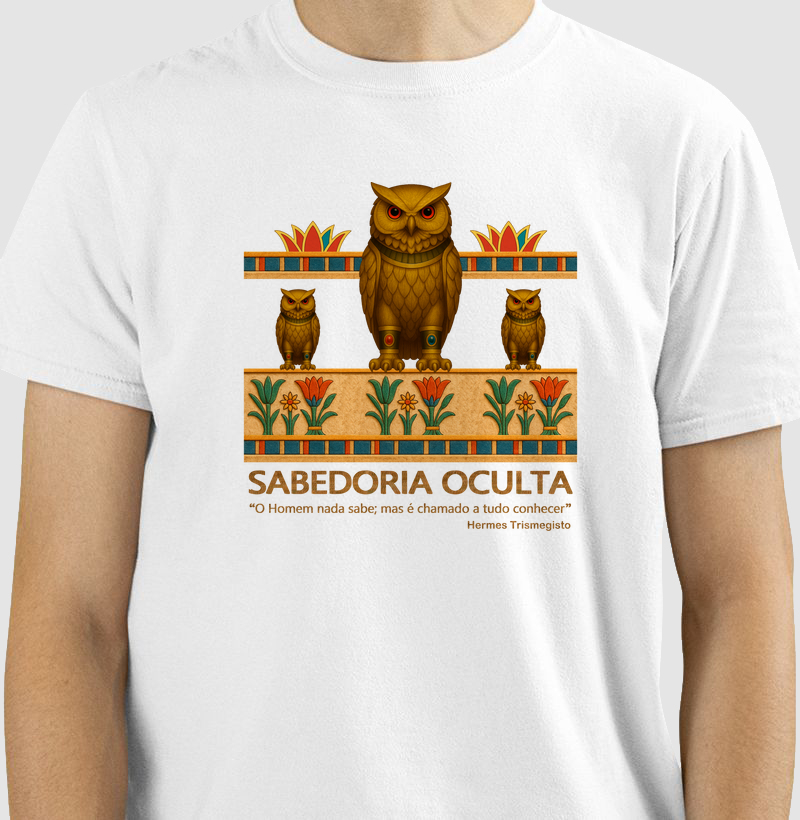 SKU 00016 - Coruja Sabedoria Oculta 