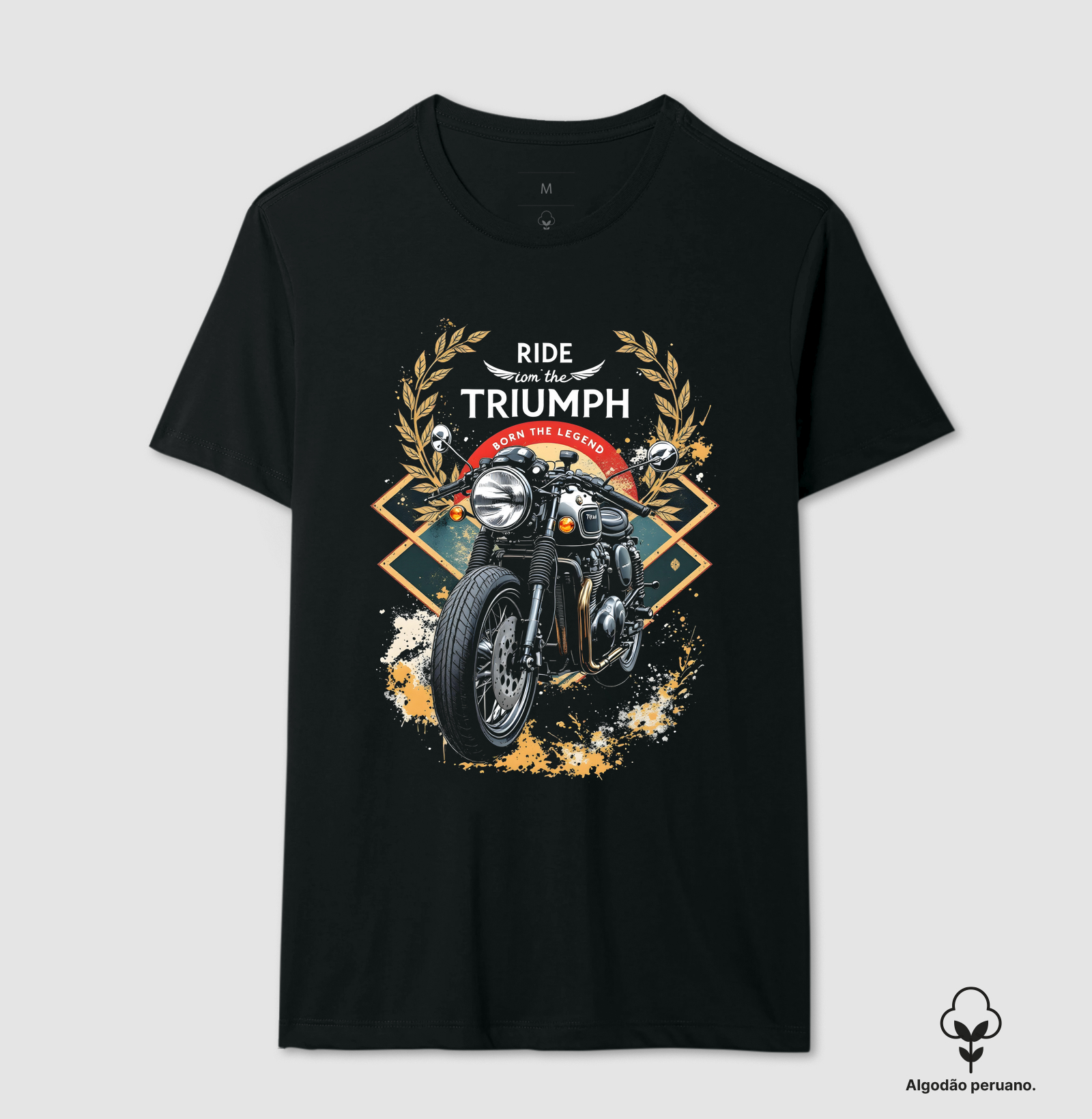 Ride on the Triumph